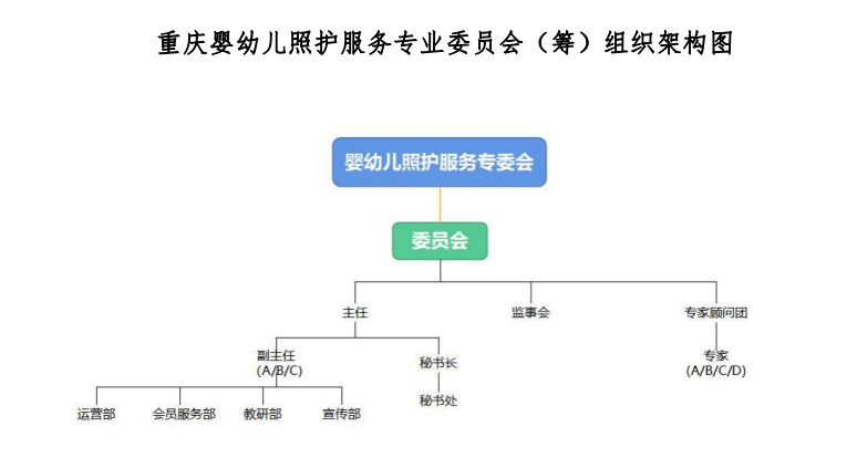 重慶市繼續(xù)教育學(xué)會(huì)嬰幼兒照護(hù)服務(wù)專業(yè)委員會(huì)