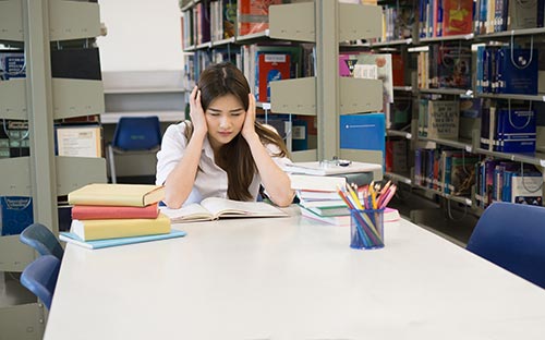 尼皮辛大學學費