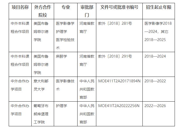 2022年中外合作辦學(xué)項目基本情況