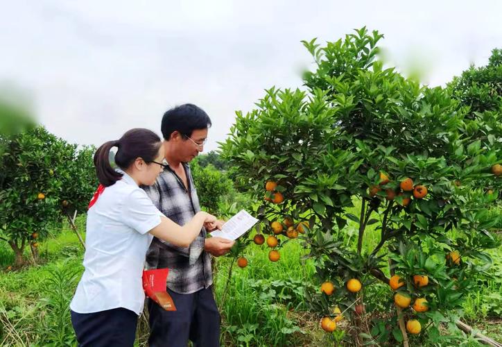建筑安全管理與保安服務結合實現(xiàn)安全管理創(chuàng)新