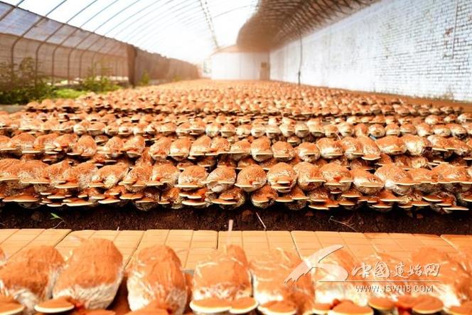 高端住宅區(qū)如何通過定制化保安服務(wù)提升居住體驗
