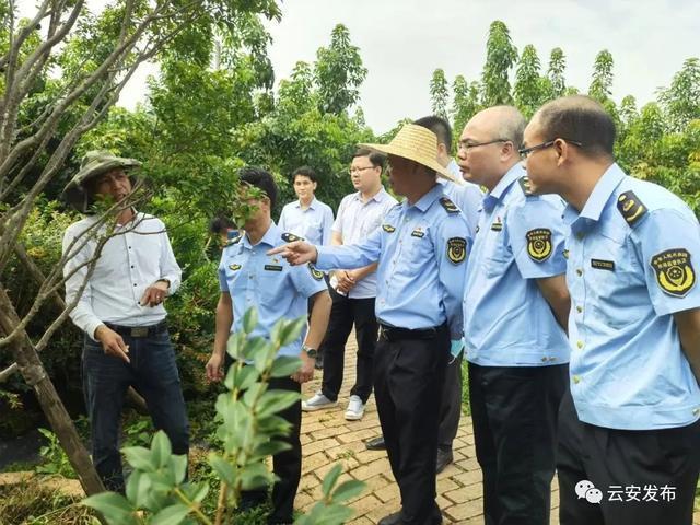 保安服務在商業(yè)區(qū)域中的重要性及具體應用實例