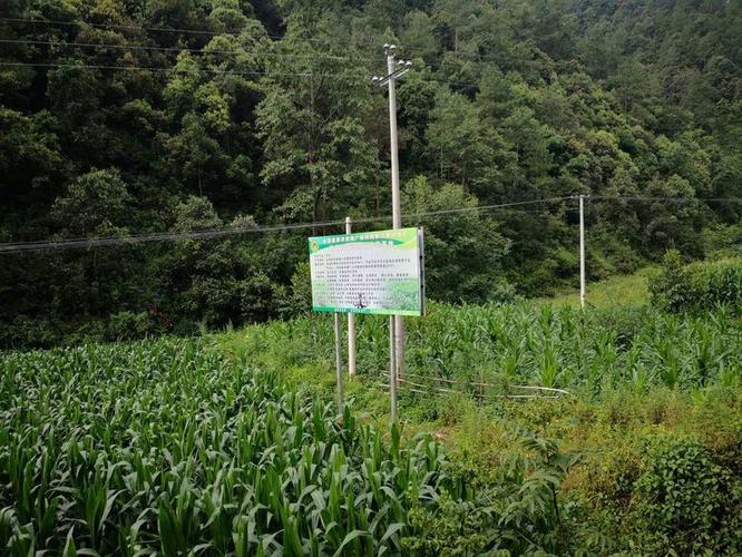 如何通過保安服務(wù)讓員工掌握基本安全知識