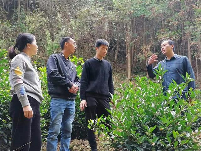 保安服務(wù)如何提升公共安全與社會秩序