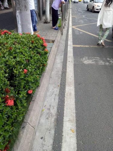 如何通過技術(shù)手段提高保安服務(wù)的處理效率