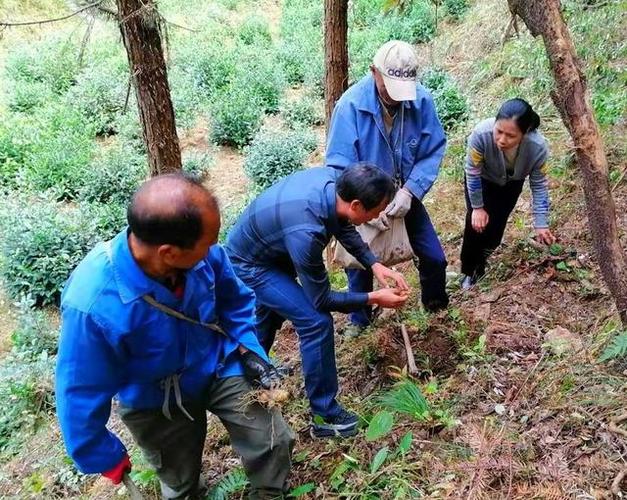如何利用保安服務(wù)提升企業(yè)對外安全形象